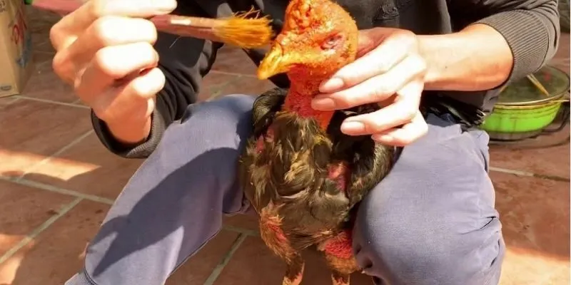 thuc-hien-day-du-nhung-buoc-quan-trong-sau-huan-luyen